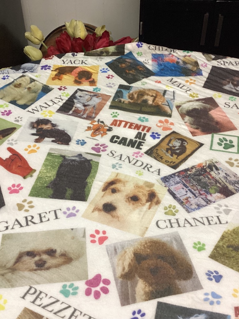 Faliero Sarti Women Dog Scarf / Blanket Italy. Amazing !!!